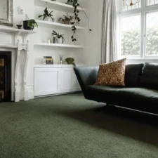 Flooring-Design-Godfrey-Hirst-Carpet-Enchant-48-Mallard