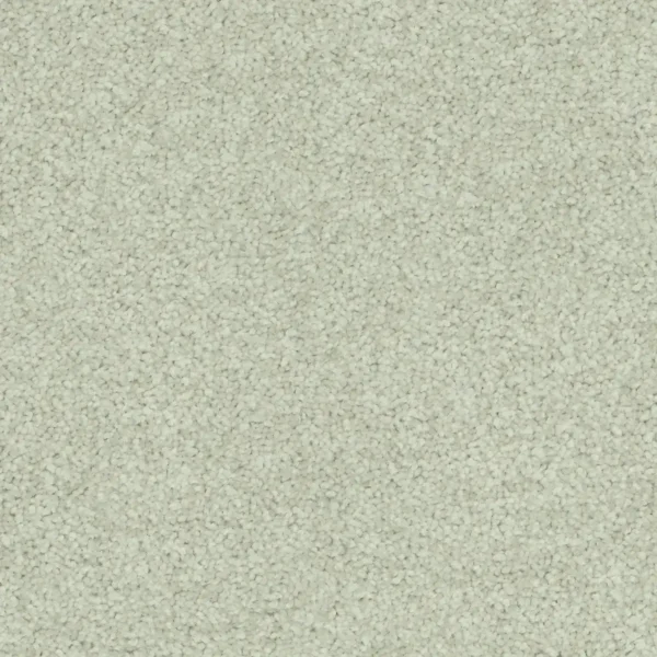 Flooring-Design-Godfrey_Hirst-Carpet-Winter-Charm-Beige-Royal