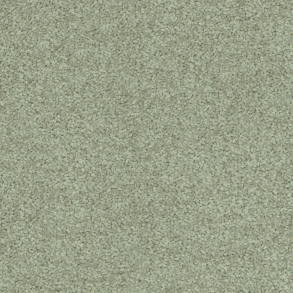 Flooring-Design-Godfrey_Hirst-Carpet-Winter-Charm-Papyrus