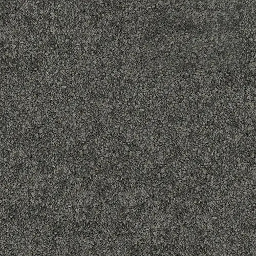 Flooring-Design-Jacobsens-Carpet-Excelsior-Aluminium (1)