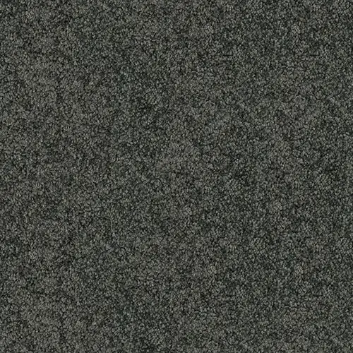 Flooring-Design-Jacobsens-Carpet-Excelsior-Rhodium