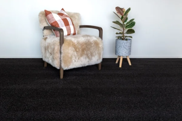 Flooring-Design-Robert Malcolm-Carpet-Paihia-Alpha-Street