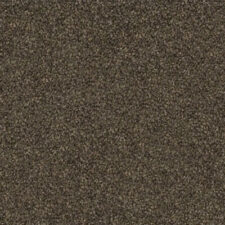 Flooring-Design-Belgotex-Carpet-Westminster-Coal-City-web