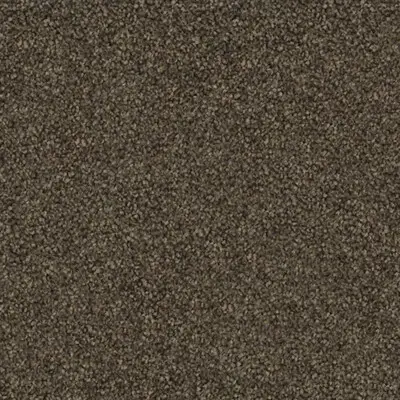 Flooring-Design-Belgotex-Carpet-Westminster-Coal-City-web